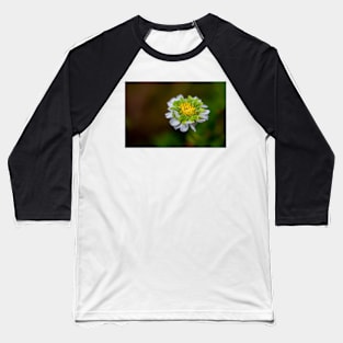 FLOWERS, NATURE’S Fashion Models Baseball T-Shirt